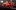 News De 1366X836 Ehcb Community 08 24 (1)