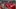 Ehcb Vs Hcap 20260115 Wb 4086