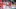 Dsc02781 (1)