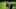 A7405588